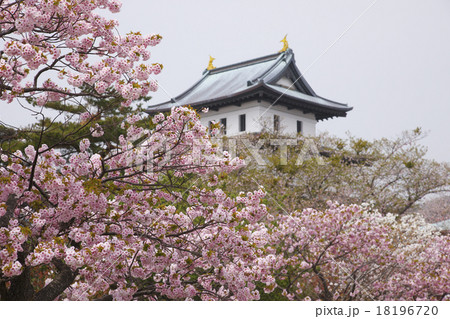 松前城 松前城 18196720