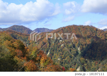 栗駒山の紅葉 栗駒山の紅葉 18197111