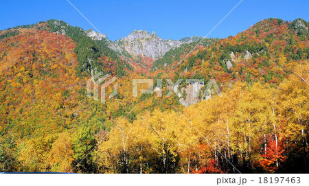 新穂高の紅葉 18197463