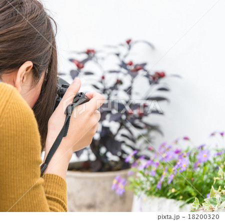 庭にて… 18200320