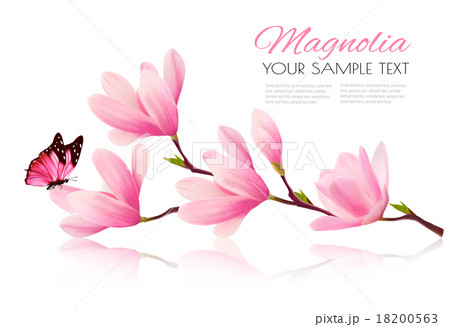 Flower background with blossom branch of magnolia  18200563