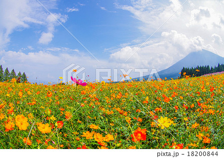 秋の生駒高原④ 18200844