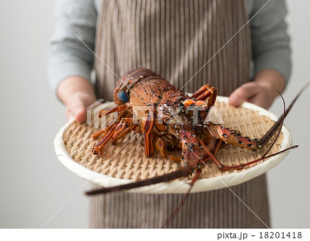 伊勢海老 18201418