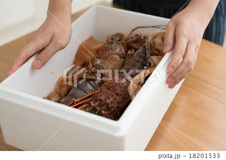 伊勢海老 18201533