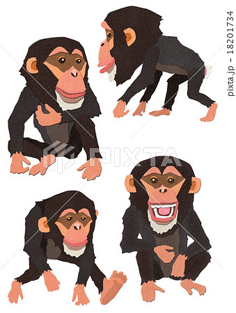 チンパンジーのイラスト素材 18201734 Pixta