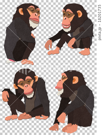 チンパンジーのイラスト素材