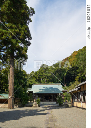 相模国二宮の川勾（かわわ）神社、社殿と御神木（神奈川県） 18203052