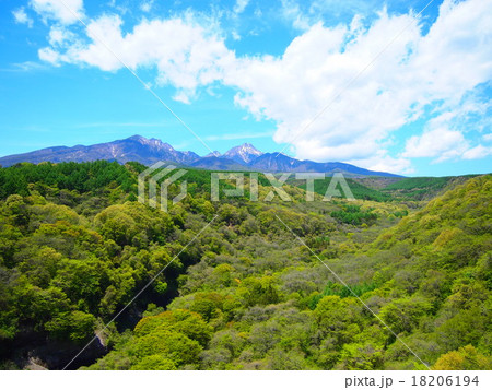 新緑の向こうの八ヶ岳 新緑の向こうの八ヶ岳 18206194