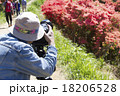 つつじ 撮影 男性 つつじ 撮影 男性 18206528