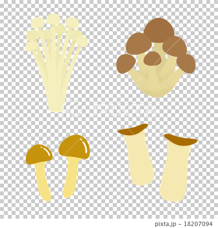 各種蘑菇 各種蘑菇 18207094