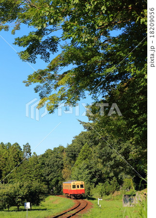 夏の小湊鉄道 18209056