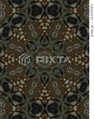Brown Ethnic pattern. Abstract kaleidoscope 18209983