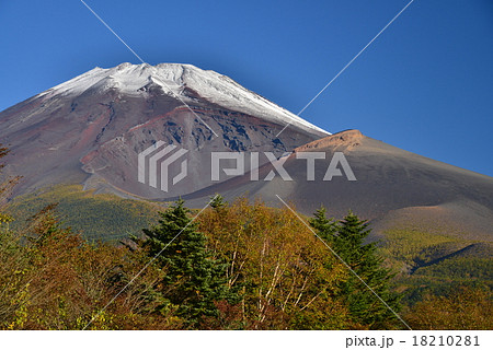初冠雪の朝、水ヶ塚から富士山 初冠雪の朝、水ヶ塚から富士山 18210281