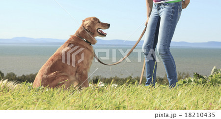 Funny girl plays with the dog outside Funny girl plays with the dog outside 18210435