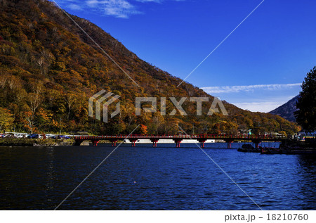赤城神社の紅葉 18210760