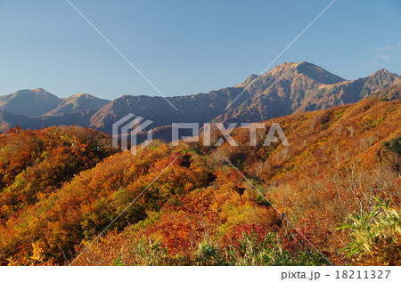 越後駒ヶ岳の紅葉 18211327