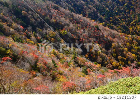 紅葉の次郎笈峠2 (徳島県次郎笈峠) 紅葉の次郎笈峠2 (徳島県次郎笈峠) 18211507