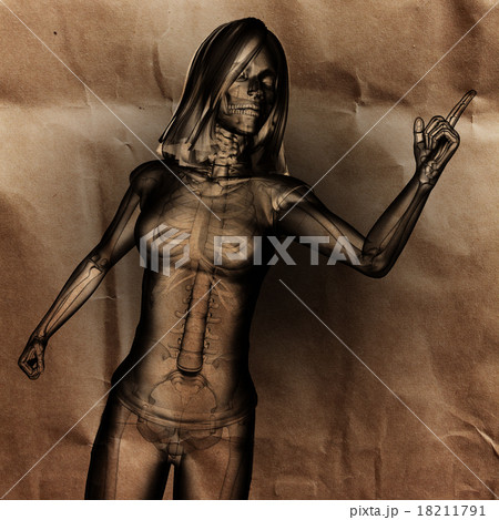 cute woman radiography painted cute woman radiography painted 18211791