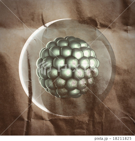 A micro cell scientific illustration painted  18211825