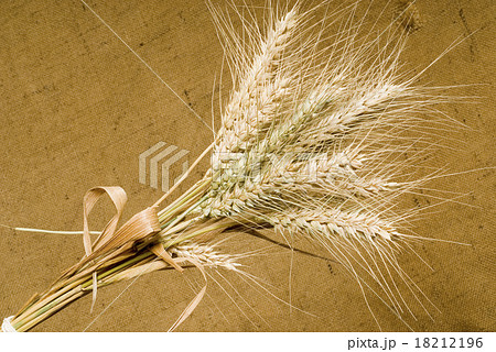 wheat wheat 18212196