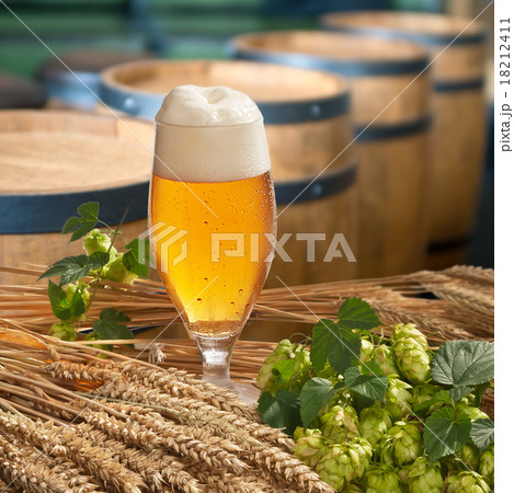 glass of beer glass of beer 18212411
