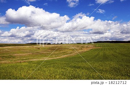 agricultural field   18212712