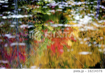 Algonquin Park Muskoka Ontario 18214378