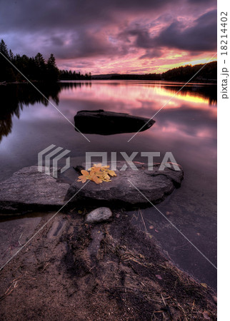 Algonquin Park Muskoka Ontario Lake Wilderness 18214402