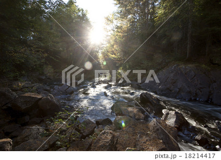Algonquin Park Muskoka Ontario 18214417