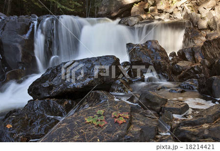 Algonquin Park Muskoka Ontario Waterfall Algonquin Park Muskoka Ontario Waterfall 18214421