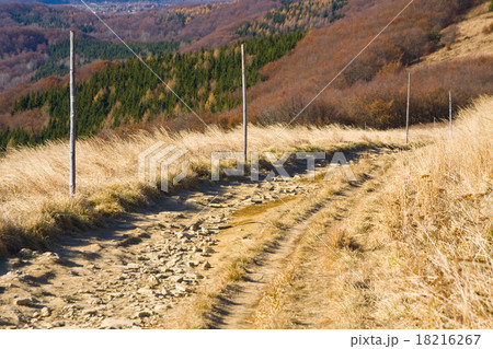 Autumn mountain in Bieszczady, Poland 18216267