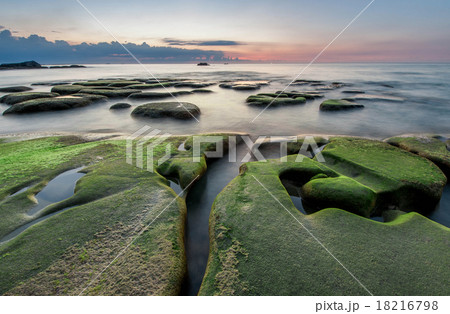 super green moss and long expose photography super green moss and long expose photography 18216798