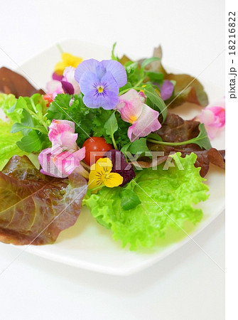 エディブルフラワーのサラダ 食用花 白背景の写真素材 1162