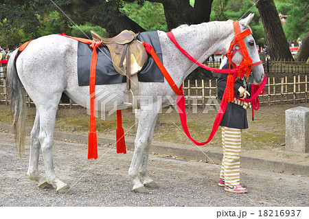 時代祭の飾り馬の写真素材 [18216937] - PIXTA