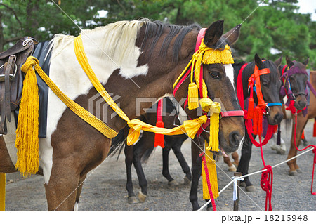 時代祭の飾り馬 18216948
