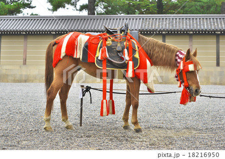 時代祭の飾り馬の写真素材 [18216950] - PIXTA