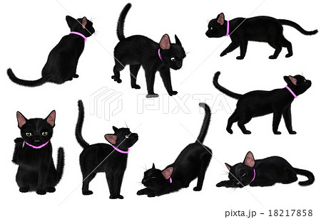 黒猫ポーズ001のイラスト素材 18217858 Pixta