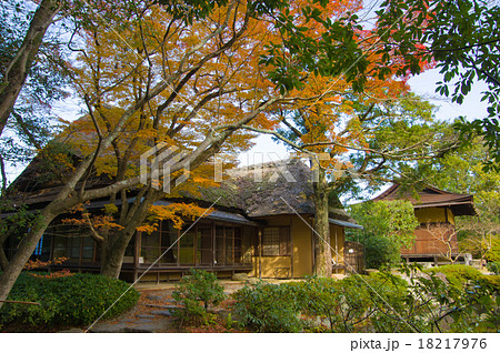 奈良依水園の風景 18217976