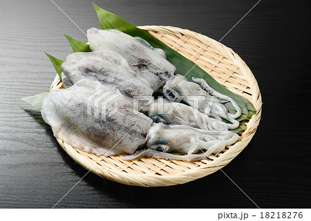 アオリイカ アオリイカ 18218276