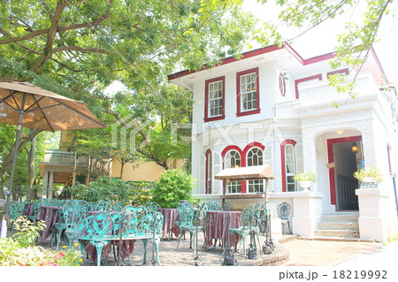 えの木てい えの木てい 18219992