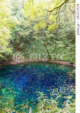 青池 青池 18221428