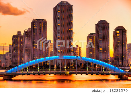 Tokyo skyline, Japan. Tokyo skyline, Japan. 18221570