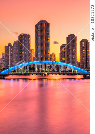 Tokyo skyline, Japan. Tokyo skyline, Japan. 18221572
