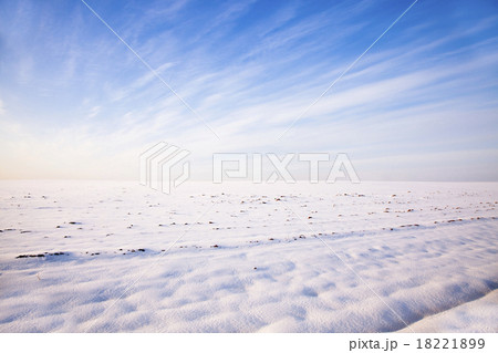 snow-covered field   18221899