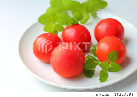 トマト トマト 18223092