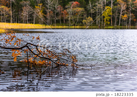 湖の紅葉 18223335