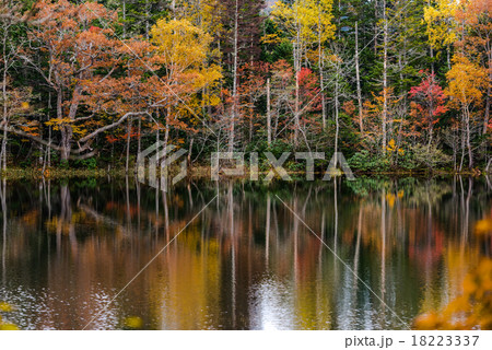 秋が映る水面 18223337