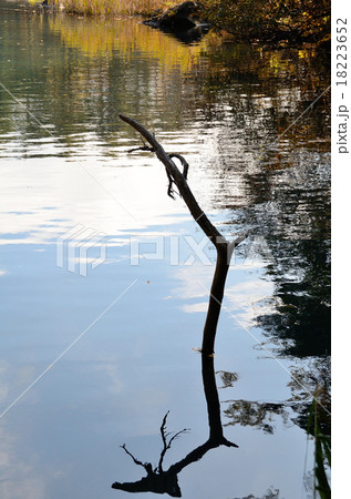 秋映～2015五色沼湖沼群 18223652