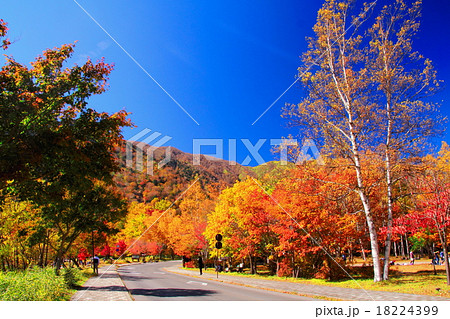 奥日光 湯ノ湖の紅葉の写真素材