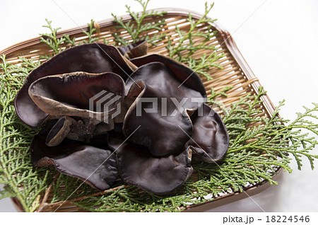 生きくらげ 18224546